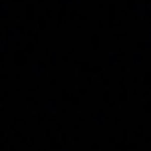 Meet your Posher, Evie